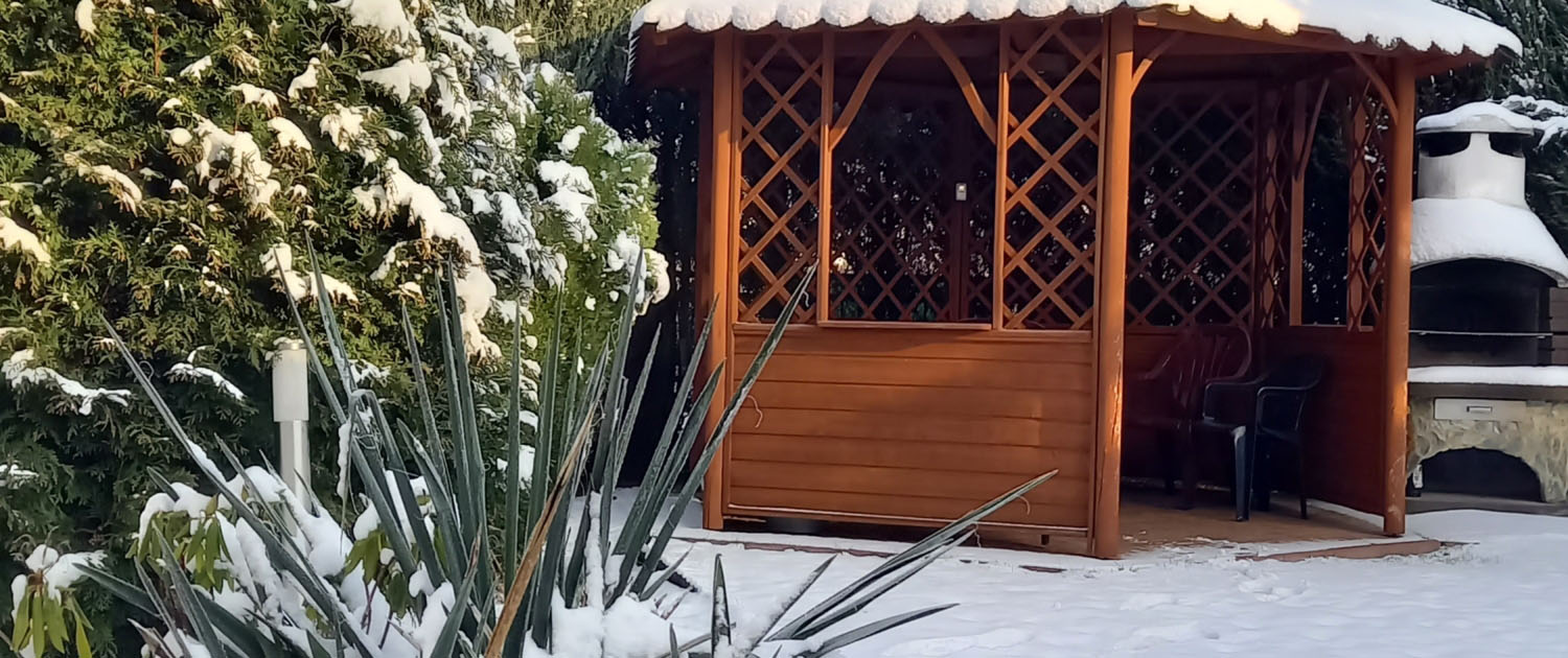 Widok na ogród zimą